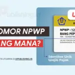 Nomor NPWP yang Mana? Cek Bagian Ini